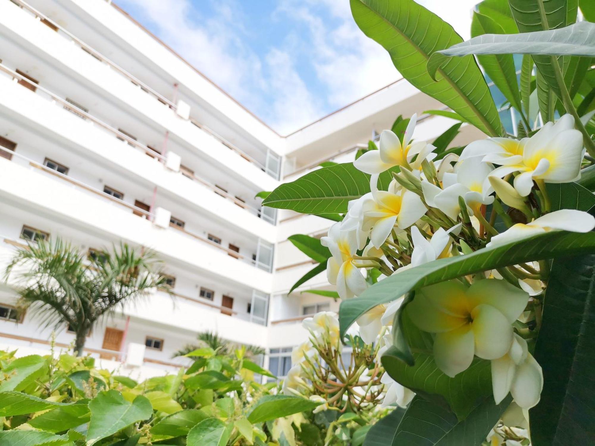 Las Camelias 215 By Pride Holiday Rentals Maspalomas  Buitenkant foto