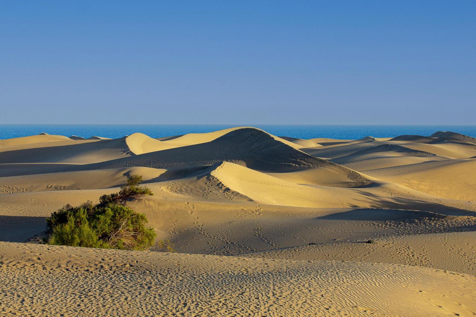 Las Camelias 215 By Pride Holiday Rentals Maspalomas  Buitenkant foto