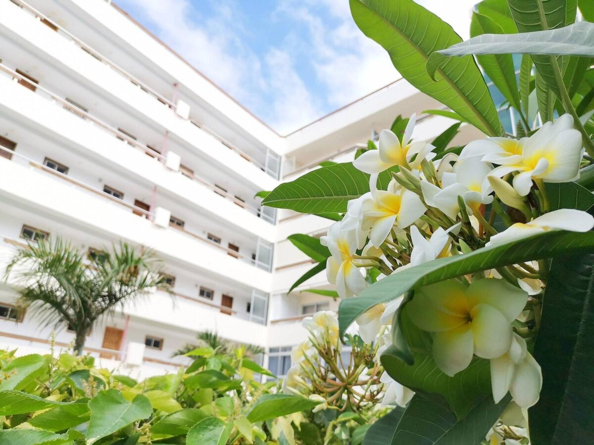 Las Camelias 215 By Pride Holiday Rentals Maspalomas  Buitenkant foto